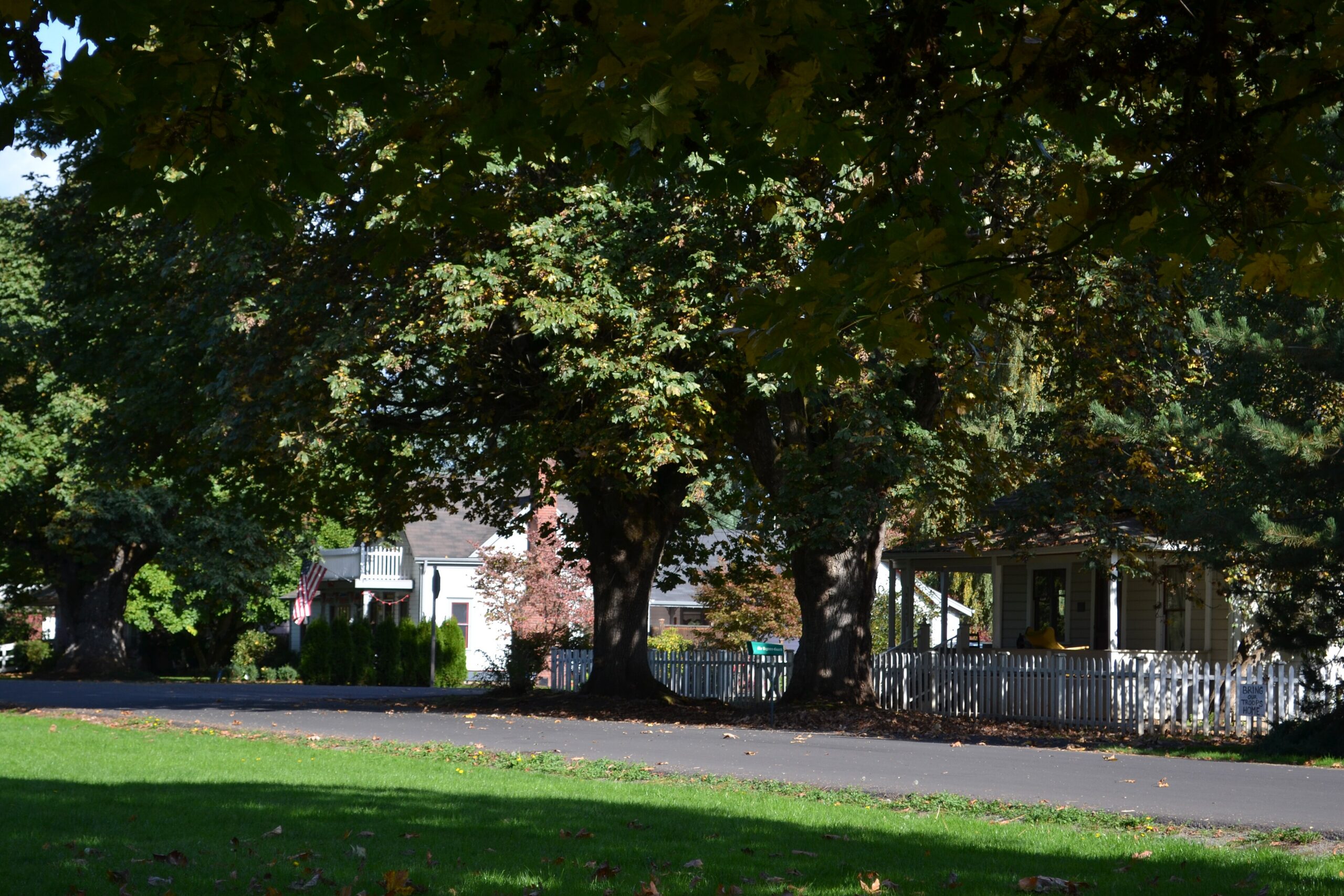 Houses along Diamond Street in Coburg, Oregon