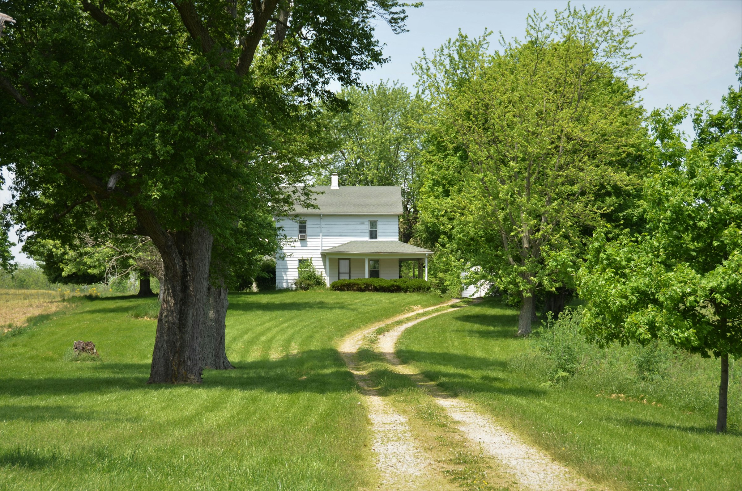 Farmhouse at the end of a tree-lined lane