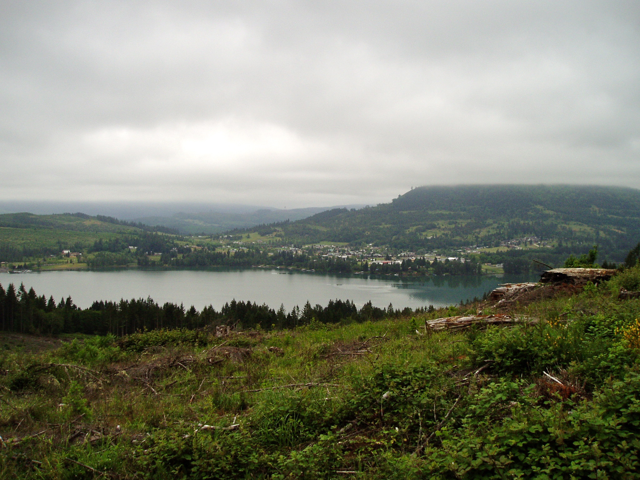 Houses in Lowell, Oregon, along Dexter Reservoir