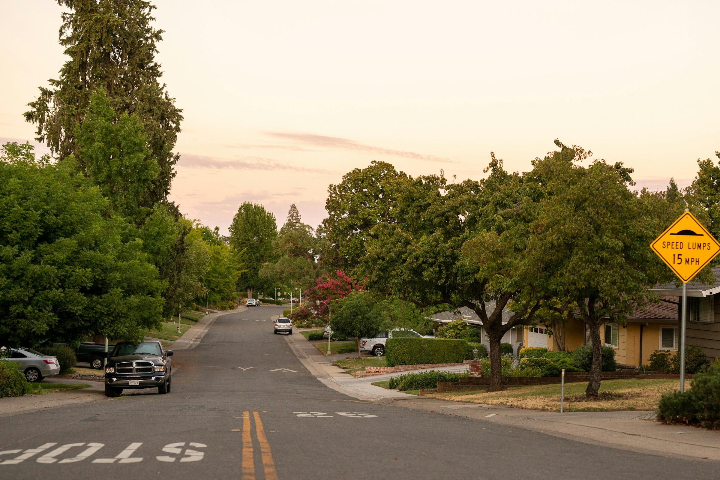 Residential street of houses and shade trees